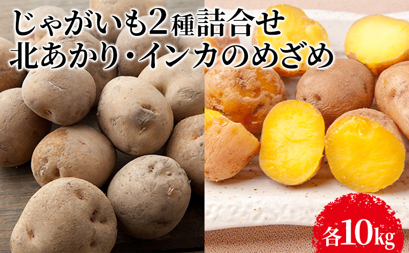 【先行予約】じゃがいも2種詰合せ（北あかり10kg・インカのめざめ10kg）【十勝幕別 北海道ホープランド農場】 野菜 セット 