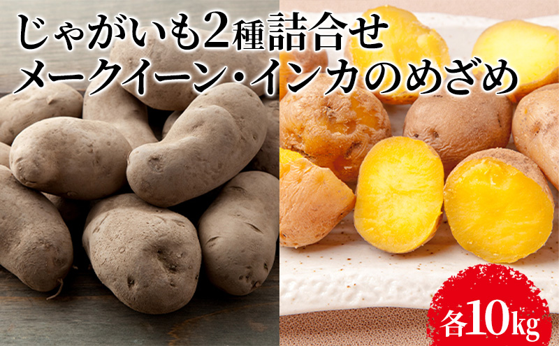 【先行予約】じゃがいも2種詰合せ（メークイン10kg・インカのめざめ10kg）【十勝幕別 北海道ホープランド農場】 野菜 セット 