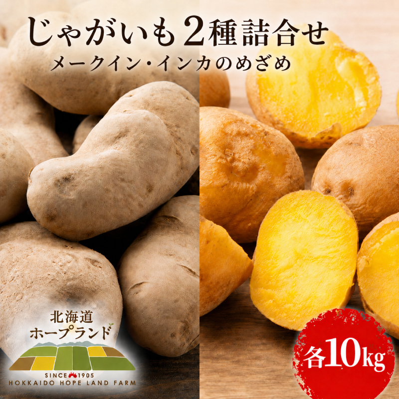 【先行予約】じゃがいも2種詰合せ（メークイン10kg・インカのめざめ10kg）【十勝幕別 北海道ホープランド農場】 野菜 セット 