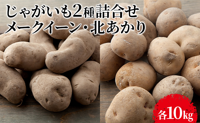 【先行予約】じゃがいも2種詰合せ（メークイン10kg・北あかり10kg）【十勝幕別 北海道ホープランド農場】 野菜 セット 