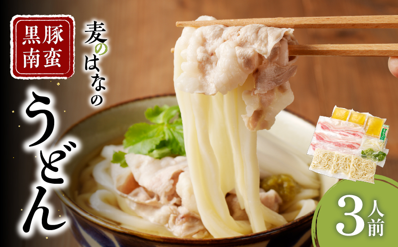 黒麦のはなの黒豚南蛮うどん【3人前】　K071-002