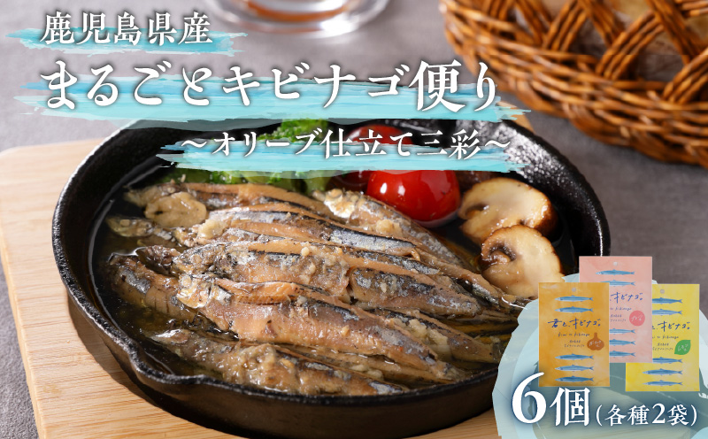 まるごとキビナゴ便り～オリーブ仕立て三彩～ 6個セット　K032-003