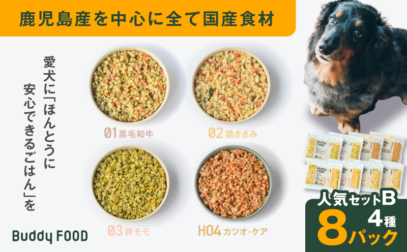 Buddy FOOD 人気セットB 4種8パック　K390-003_02
