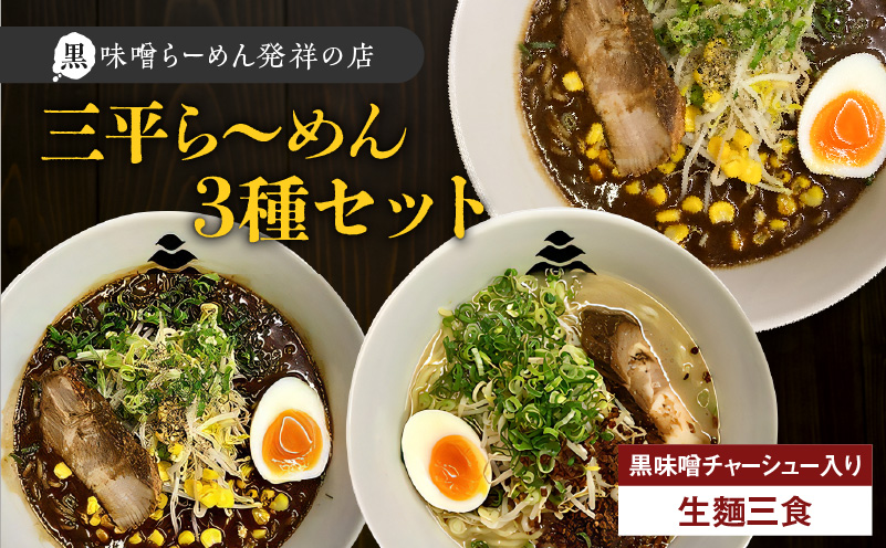 【冷凍配送】三平ら〜めん 3種セット（生麺三食/黒味噌チャーシュー入り）　K029-002