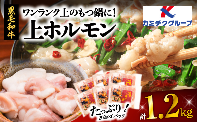 ワンランク上のもつ鍋に！小腸1.2kg（ホルモン）　K002-004
