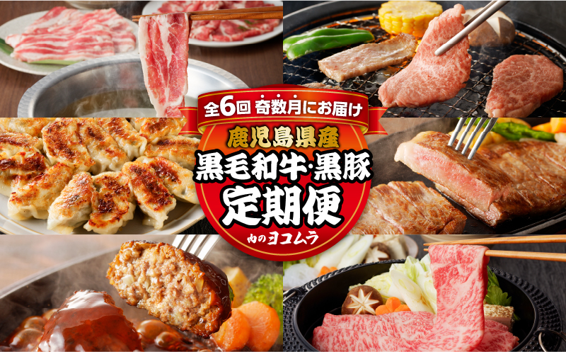 【全6回】「肉のヨコムラ」鹿児島県産 黒毛和牛・黒豚 定期便（奇数月にお届け）　K189-T01