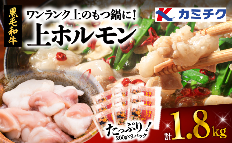 ワンランク上のもつ鍋に！上ホルモン1.8kg（200g×9パック）　K002-004_03_cp