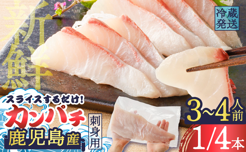 鹿児島産　スライスするだけ！カンパチ刺身用 1/4本 3〜4人前　K100-006