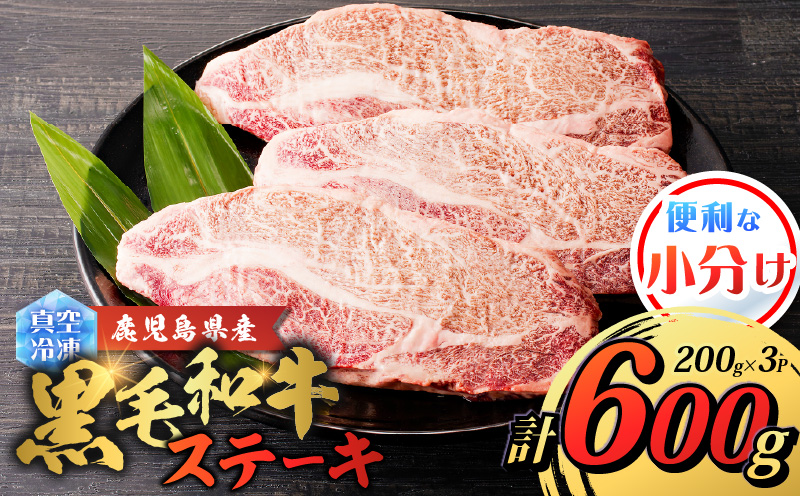 鹿児島県産 黒毛和牛ステーキ 600g　K151-010_01