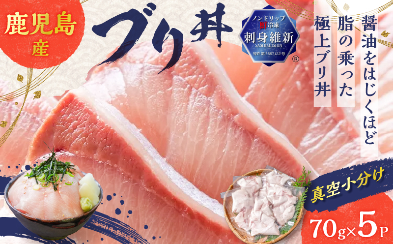 鹿児島産 ブリ丼 70g×5セット　K100-013