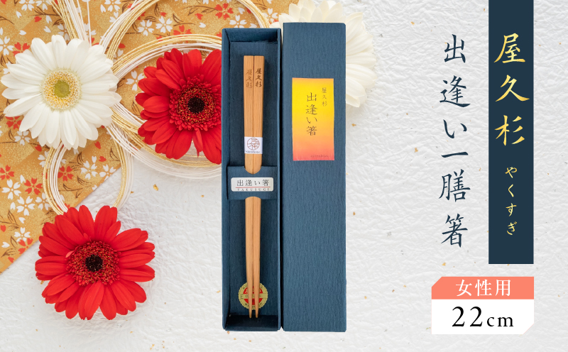 屋久杉 出逢い一膳箸 女性用（22cm）　K042-007_1