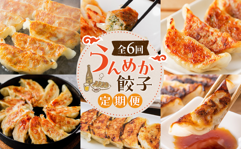 【全6回】うんめか餃子定期便　K000-T2311