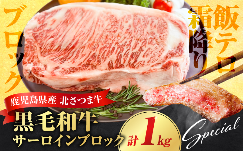 北さつま牛 サーロインブロック　K137-007