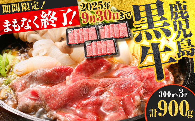 （D-3501）鹿児島黒牛ウデスライスセット　計900g　K127-009