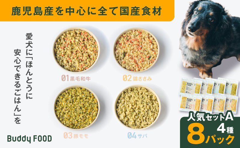 Buddy FOOD 人気セットA 4種8パック　K390-003_01