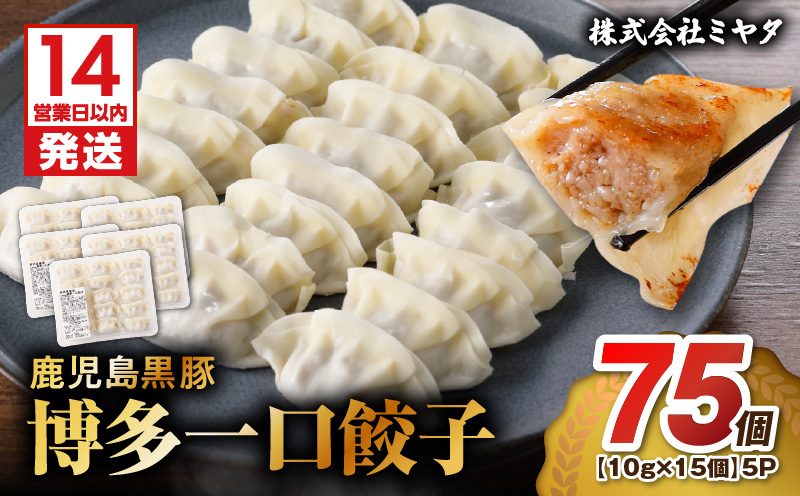 【14営業日以内に発送】 鹿児島黒豚博多一口餃子 75個　K025-009_01