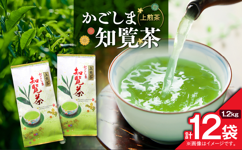 かごしま知覧茶 （100g×12袋）　K346-001_06