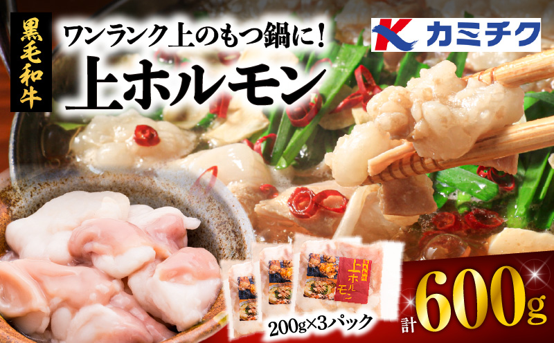 ワンランク上のもつ鍋に!上ホルモン600g(200g×3パック) K002-004_01