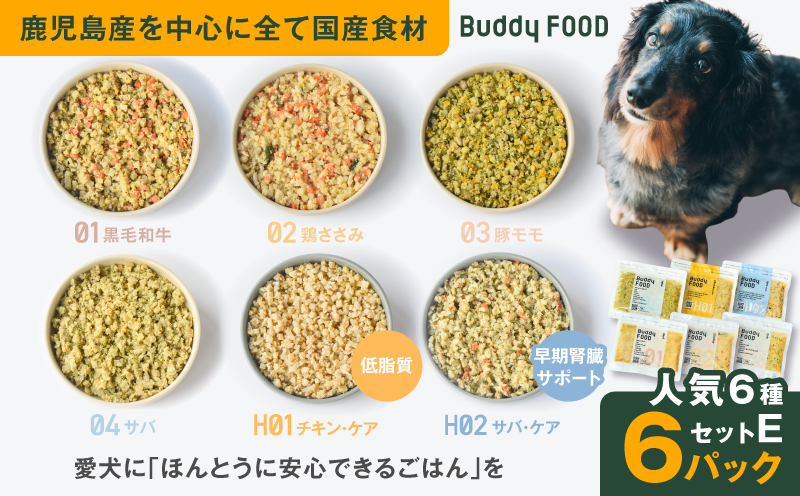 Buddy FOOD 人気6種 セットE　K390-001_21