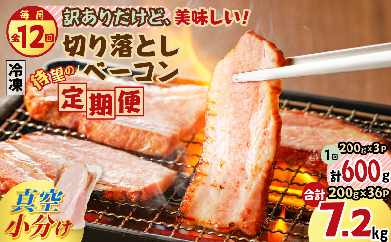 【全12回】切り落としベーコン定期便　K161-T03