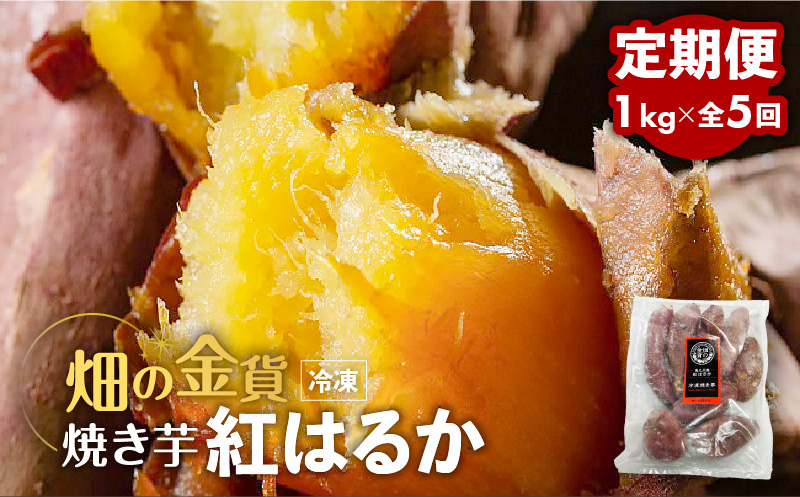 【全5回】【畑の金貨】焼き芋紅はるか1kg 定期便　K181-T01