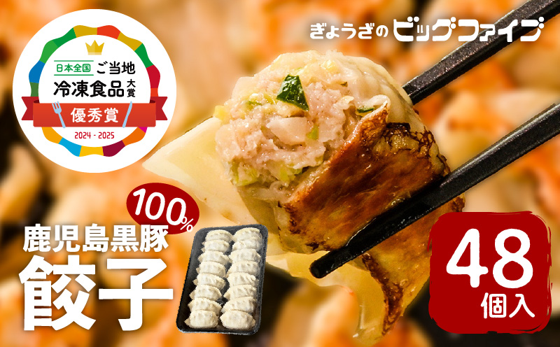 【第1回 日本全国！ご当地冷凍食品大賞 2024-2025 優秀賞受賞！】鹿児島黒豚100%餃子 48個入り　K027-008
