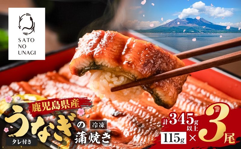 鹿児島県産うなぎ蒲焼 115g×3尾 345g以上　K379-001_01