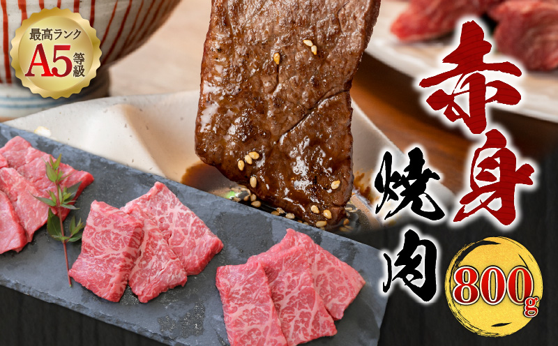 A5等級 鹿児島県産 黒毛和牛 赤身 焼肉 800g　K002-051_08