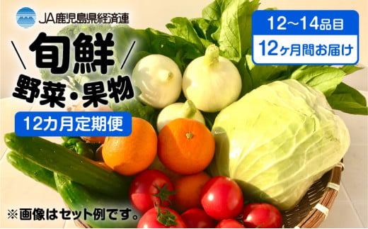 【JA直売所セレクト】12ヵ月定期便！旬鮮野菜・果物セット（12〜14品目）　K072-T02