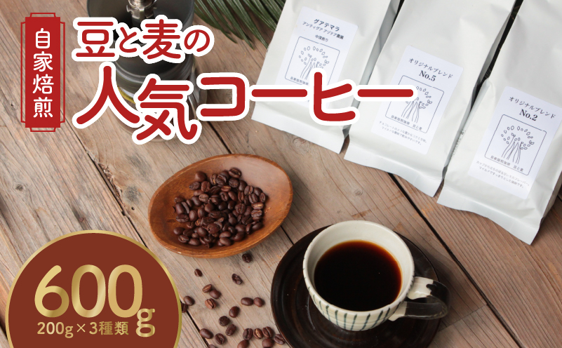 ＜選べる＞【自家焙煎コーヒー】豆と麦 詰め合わせ 3種 各200g セット 【 粉 豆 選べる 】　A017-012