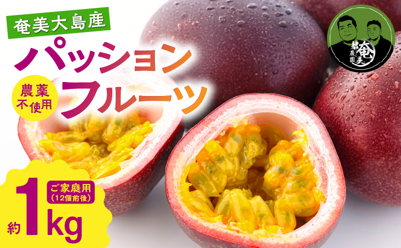 パッションフルーツ 家庭用 約1kg　A194-001-01