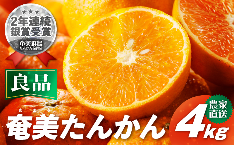 【10月1日価格改定（値上げ）予定】【2025年先行予約】農家直送 奄美たんかん 良品4kg　A067-001