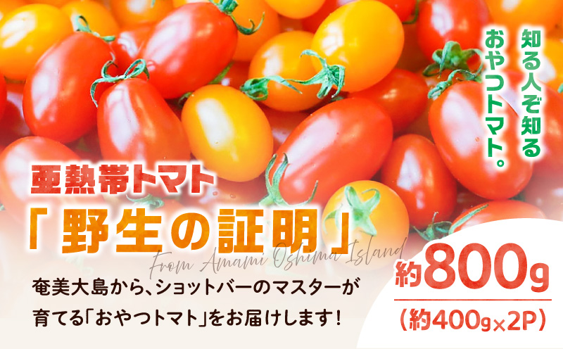 【2026年先行予約】亜熱帯トマト「野生の証明」約800g（約400g×2P）　A021-002-01