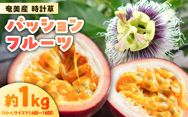 奄美産時計草（パッションフルーツ） 約1kg　A021-048-01