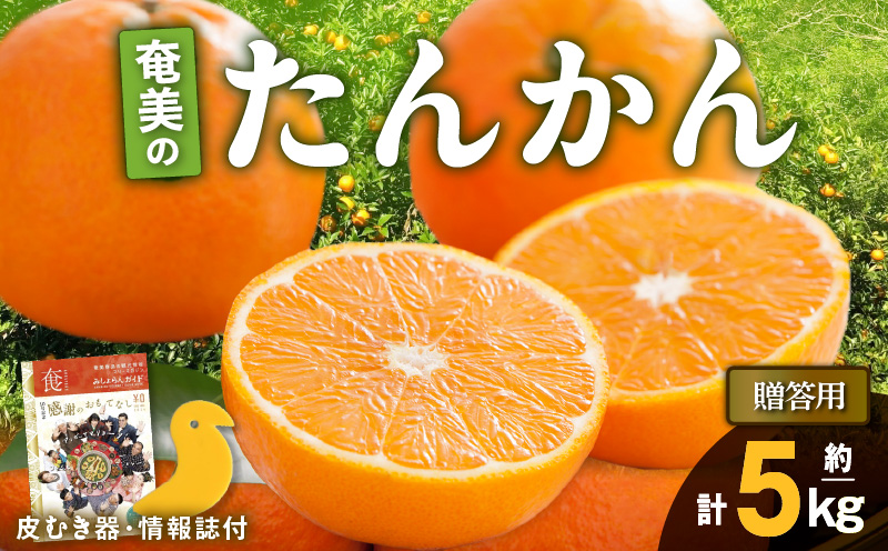 【2025年先行予約】奄美のたんかん贈答用5kg（皮むき器・情報誌付）　A052-022-02