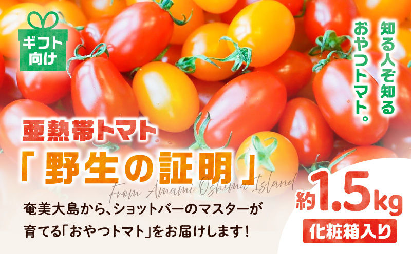 【2026年先行予約】＜化粧箱入/ギフト向け＞ 亜熱帯トマト「野生の証明」約1.5kg　A021-001