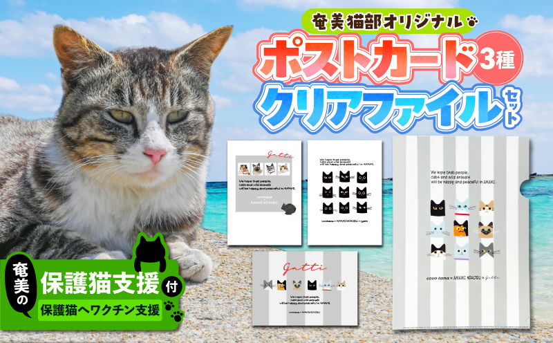 【奄美の保護猫支援（ワクチン代）】＋ポストカード＆クリアファイルセット　A071-009
