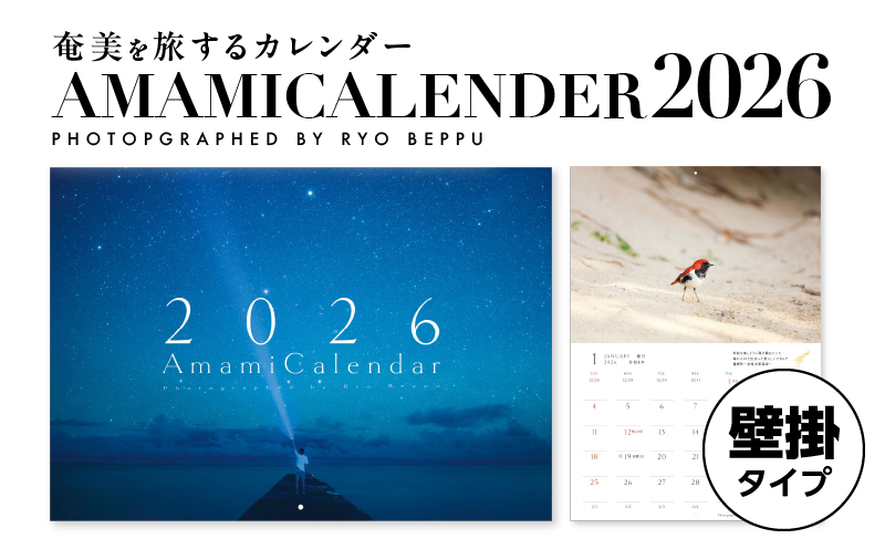 奄美カレンダー2026年 壁掛タイプ　A021-049-02