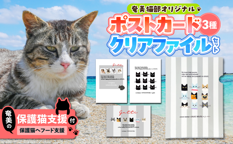 【奄美の保護猫支援（保護猫フード10日分）】＋ポストカード＆クリアファイルセット　A071-008