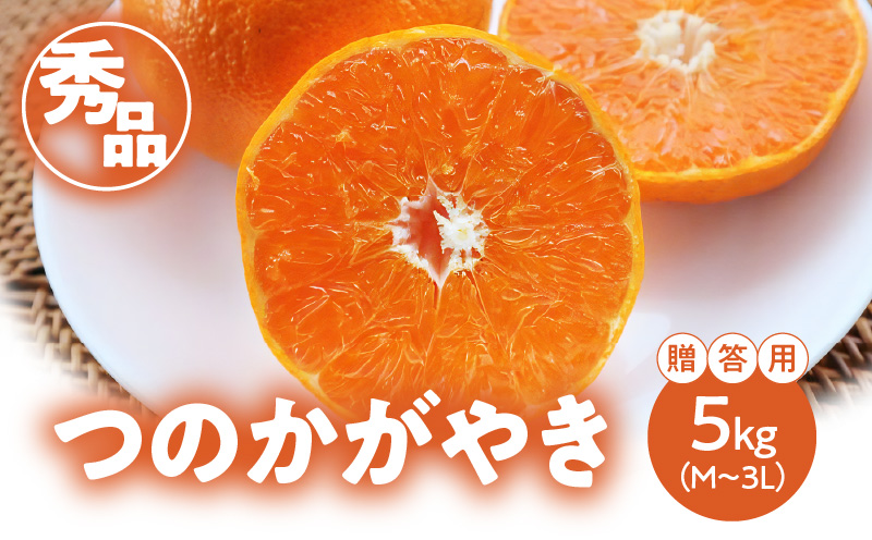 【期間・数量限定！】奄美つのかがやき＜秀品＞化粧箱 5kg （満杯詰め）3L〜Mサイズ【贈答用】　A070-006