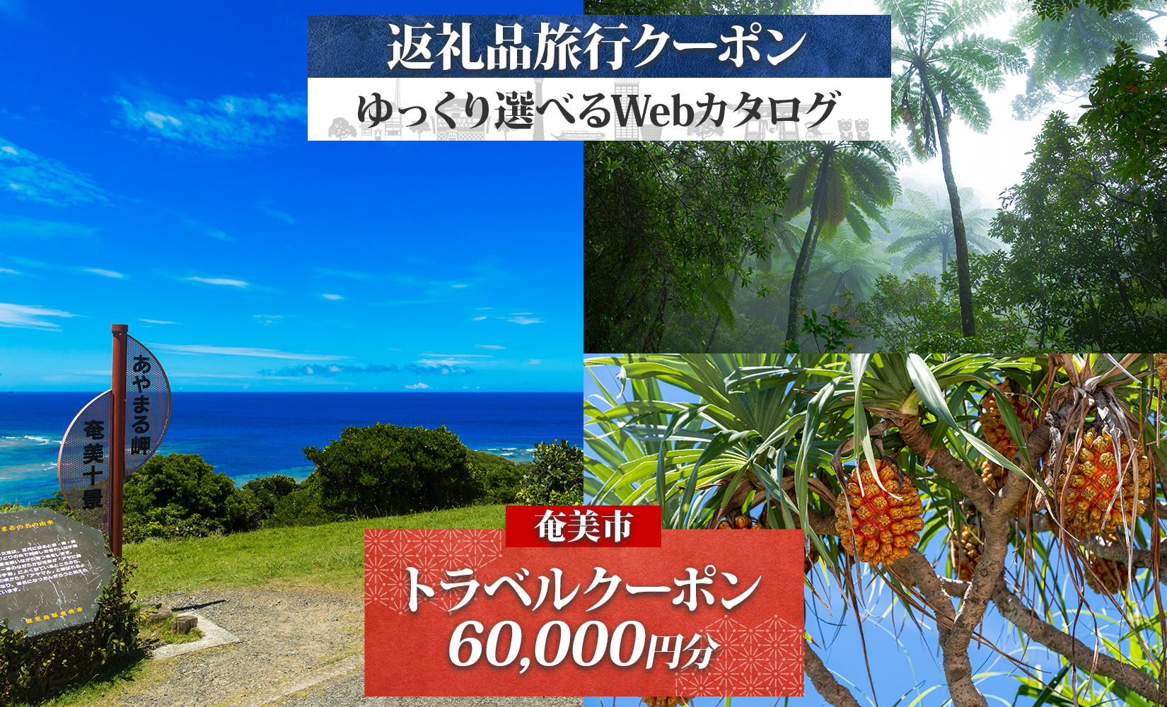 【奄美大島ツアー】鹿児島県奄美市の対象施設で使えるJTA旅行クーポン（60,000円分）　A188-001
