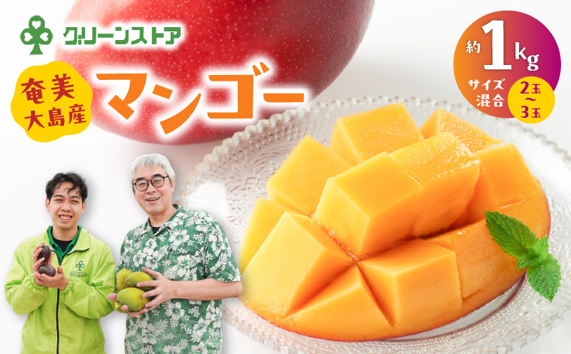 奄美大島産マンゴー約1kg（サイズ混合）　A050-008