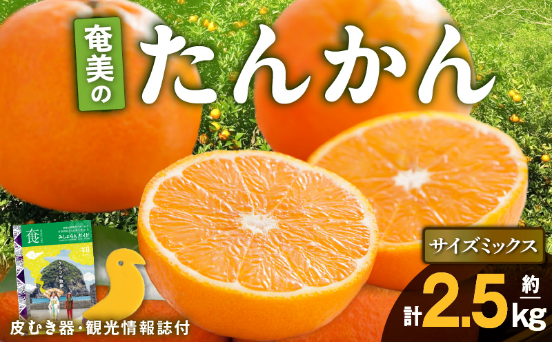 2026年産 奄美のたんかん サイズミックス2.5kg（皮むき器・観光情報誌付)　A052-025