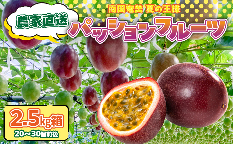 農家直送パッションフルーツ 2.5kg箱 家庭用（サイズ混合）　A201-001