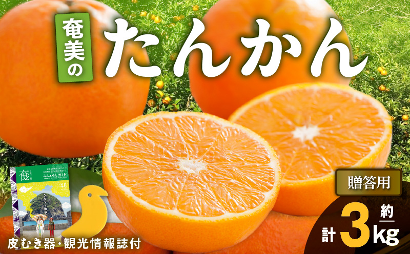 【2026年先行予約】奄美のたんかん贈答用 3kg（皮むき器・観光情報誌付）　A052-022-02