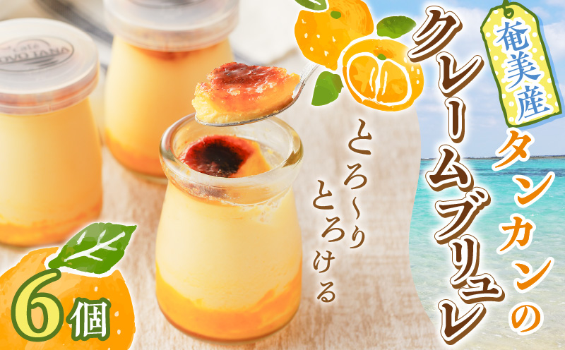 奄美産タンカンのクレームブリュレ（6個入り） - たんかん 柑橘 クリームブリュレ 洋菓子 6個