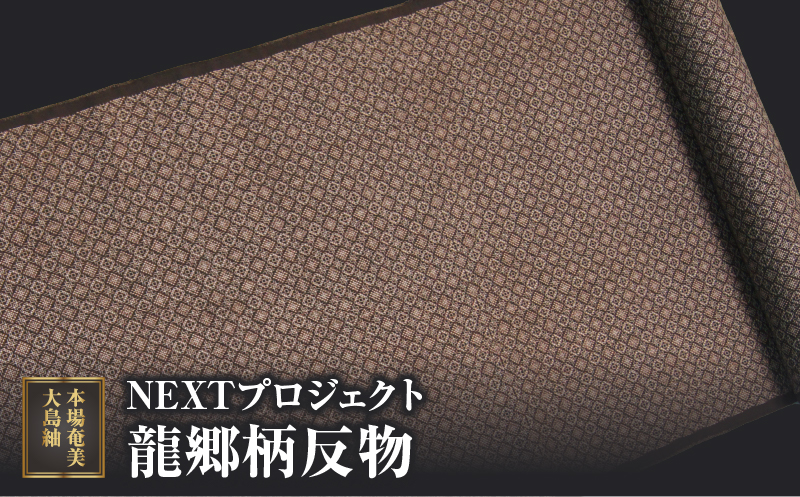 【10月1日価格改定（値上げ）予定】本場奄美大島紬NEXTプロジェクト　龍郷柄　反物 - 本場奄美大島紬 紬 絹織物 絣 伝統的工芸品 絹 反物 和装 着物 泥染め 手織り 龍郷柄 職人　BV25