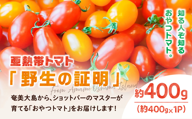 【2026年先行予約】亜熱帯トマト「野生の証明」約400g（約400g×1P）　A021-002-02
