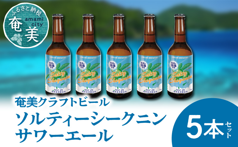 奄美クラフトビール＜ソルティーシークニンサワーエール＞5本セット　A126-004