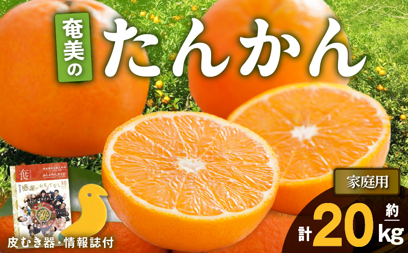 【2025年先行予約】奄美のたんかん家庭用20kg（皮むき器・情報誌付）　A052-024-01